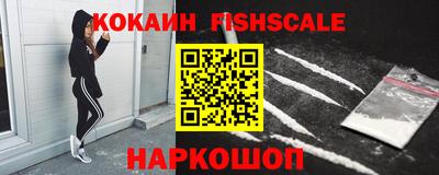 тгк Бийск