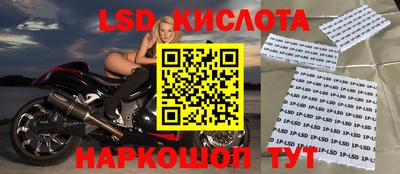 тгк Бийск