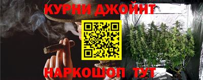 тгк Бийск