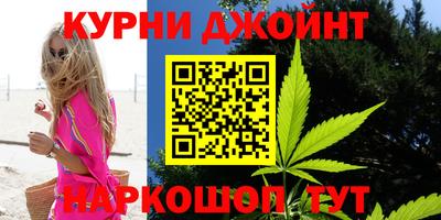 тгк Бийск
