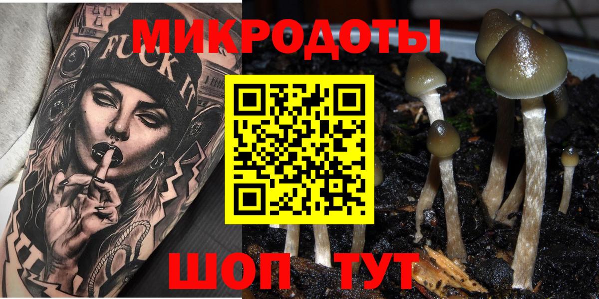 где продают   Великие Луки  Галлюциногенные грибы Magic Shrooms 